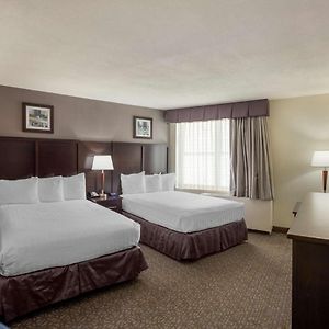 Executive Queen Room